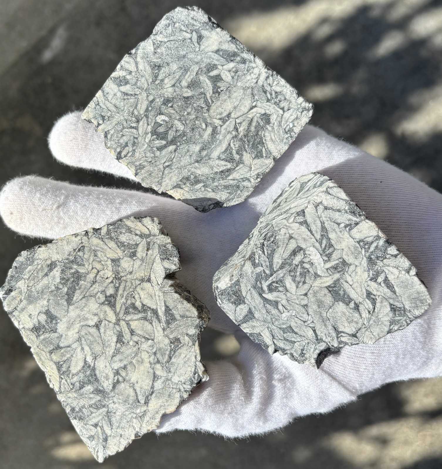 1lb+ LOT PINOLITH JASPER ROUGH LARGE SPECIMENS SPECIMEN 1 POUND LARGE CHUNKS