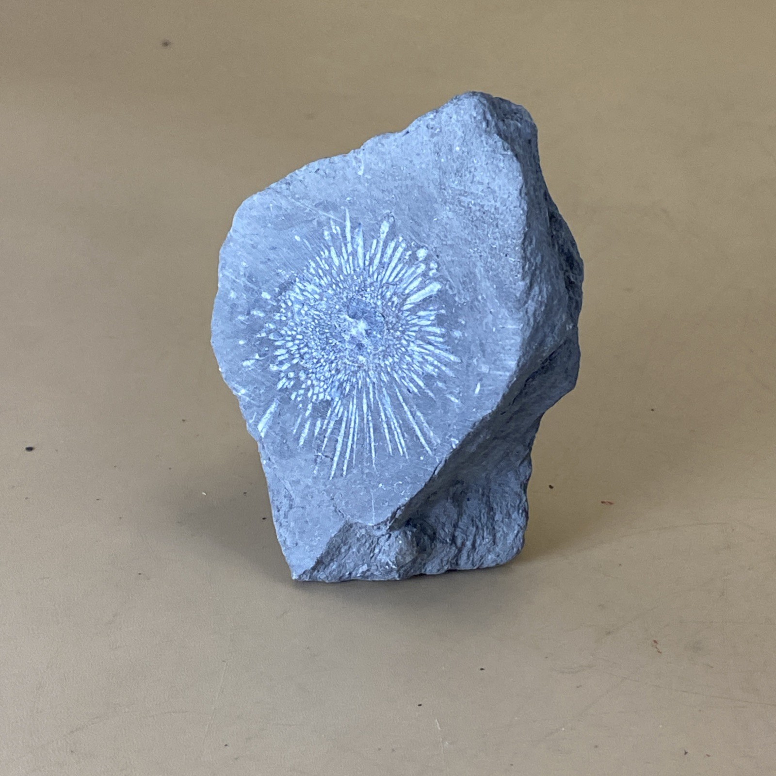 177g Natural Calcite Crystal Liuyang Chrysanthemum Stone (D2J10/Unpainted)