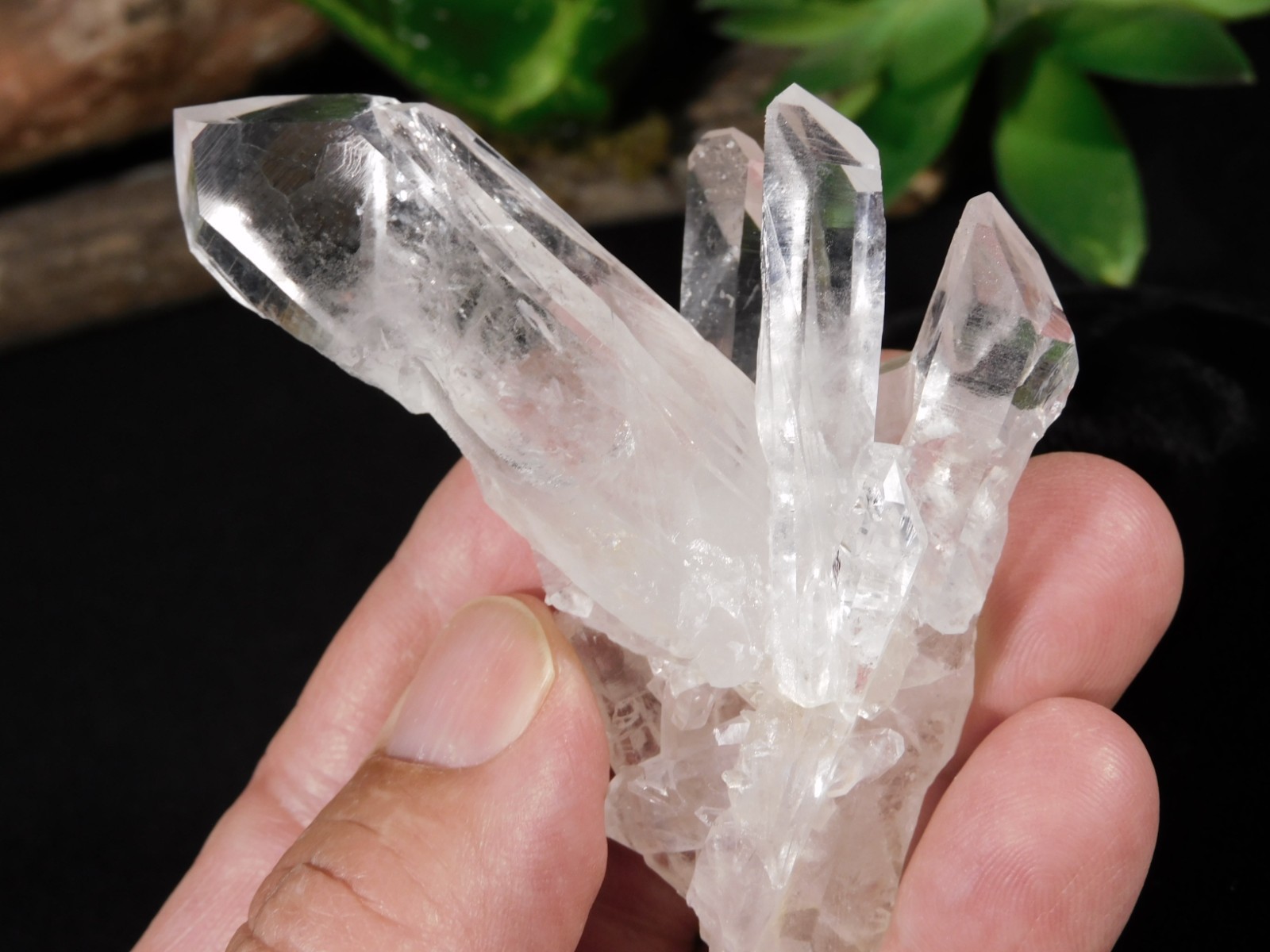 VERY TRANSLUCENT Quartz Crystal Cluster Collier Creek ARKANSAS 75.4gr