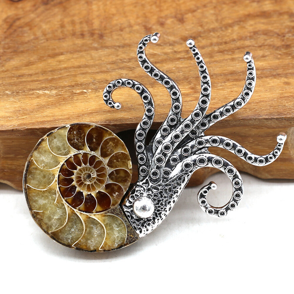 1pc Natural Ammonite Fossil Conch Specimen Healing brooch