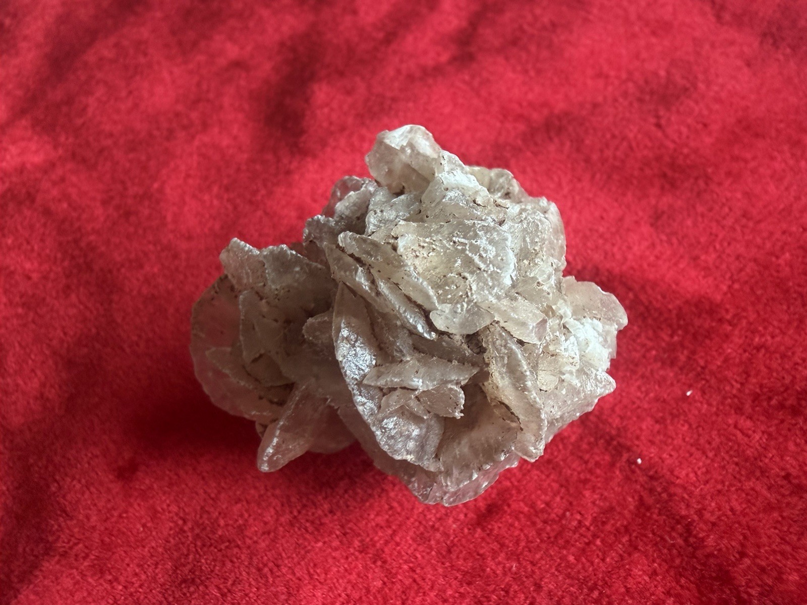 Small Desert Rose Bud Raw 1.5 Inches Across