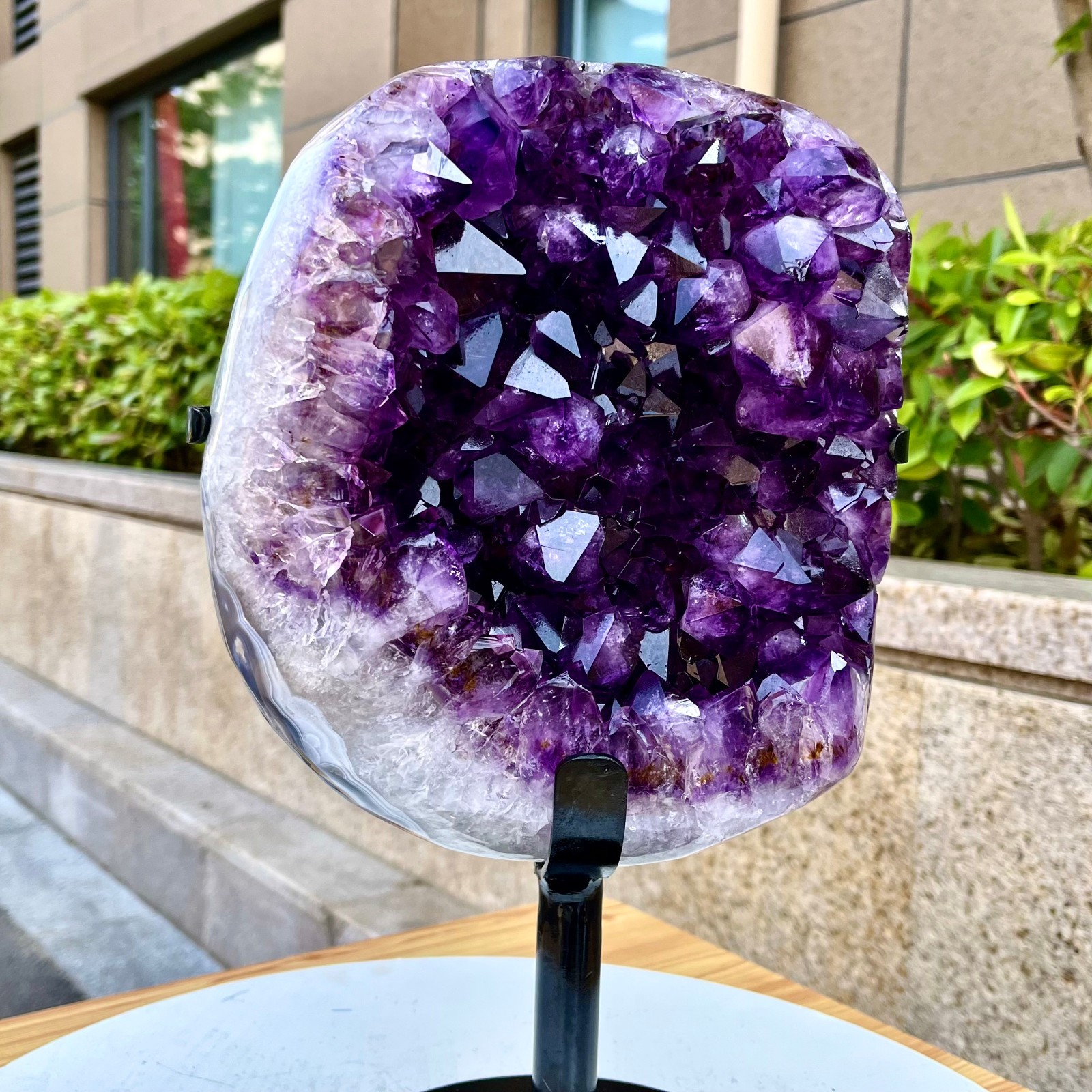 21.71LB Natural Brazilian high-grade amethyst thin skin large teeth