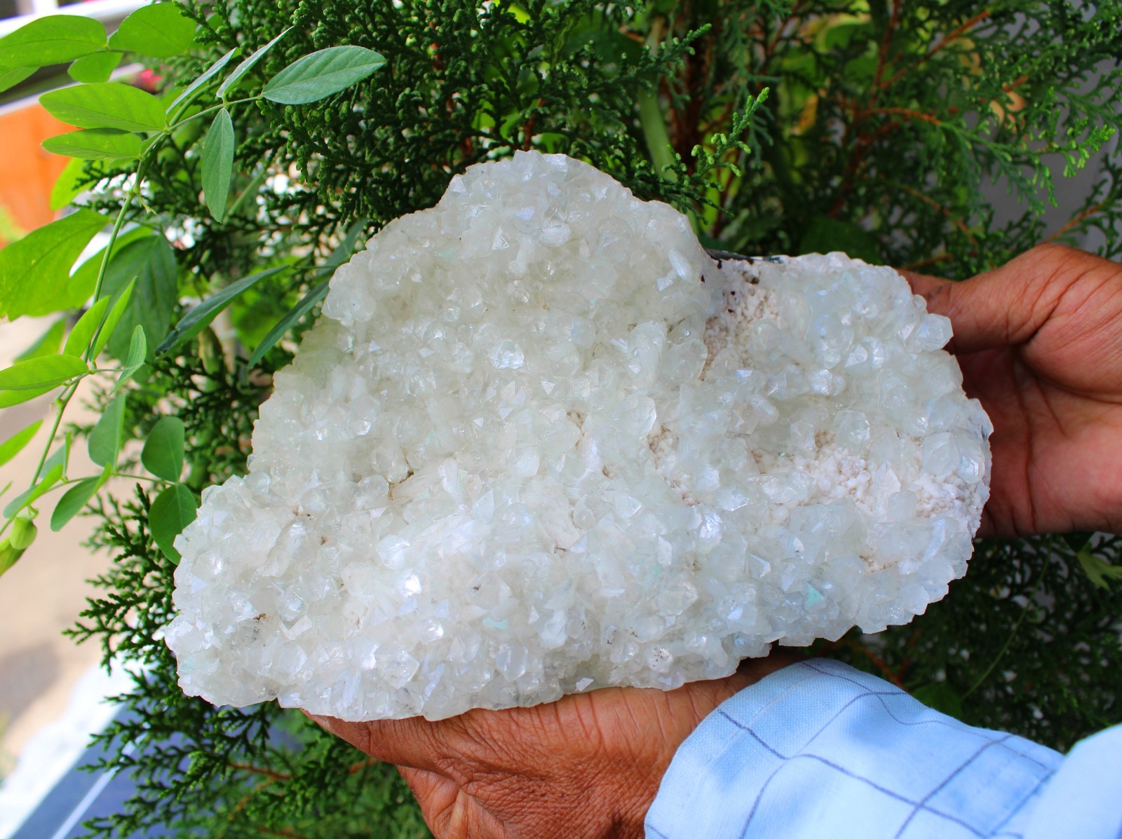 Light Green Apophyllite Crystals On Matrix Mineral Specimen