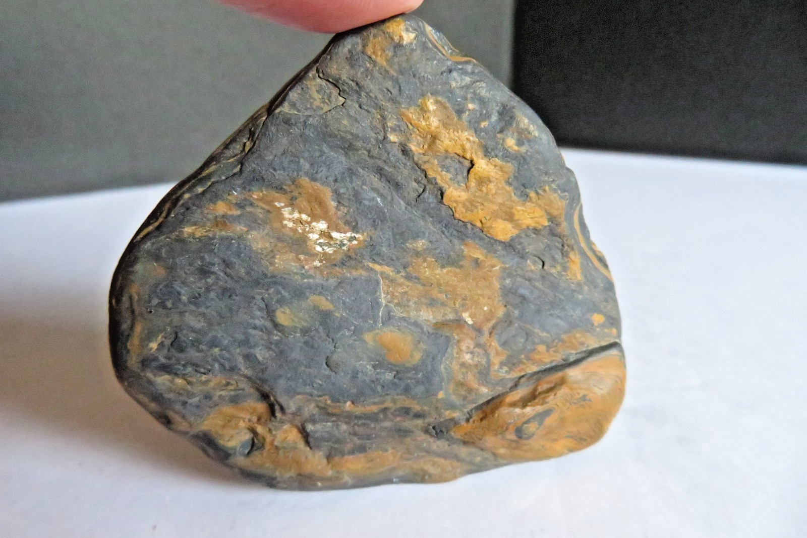 ANCIENT Banded Iron *VIDEO* Formation 3.3 oz Wyoming Precambrian Rock Stone