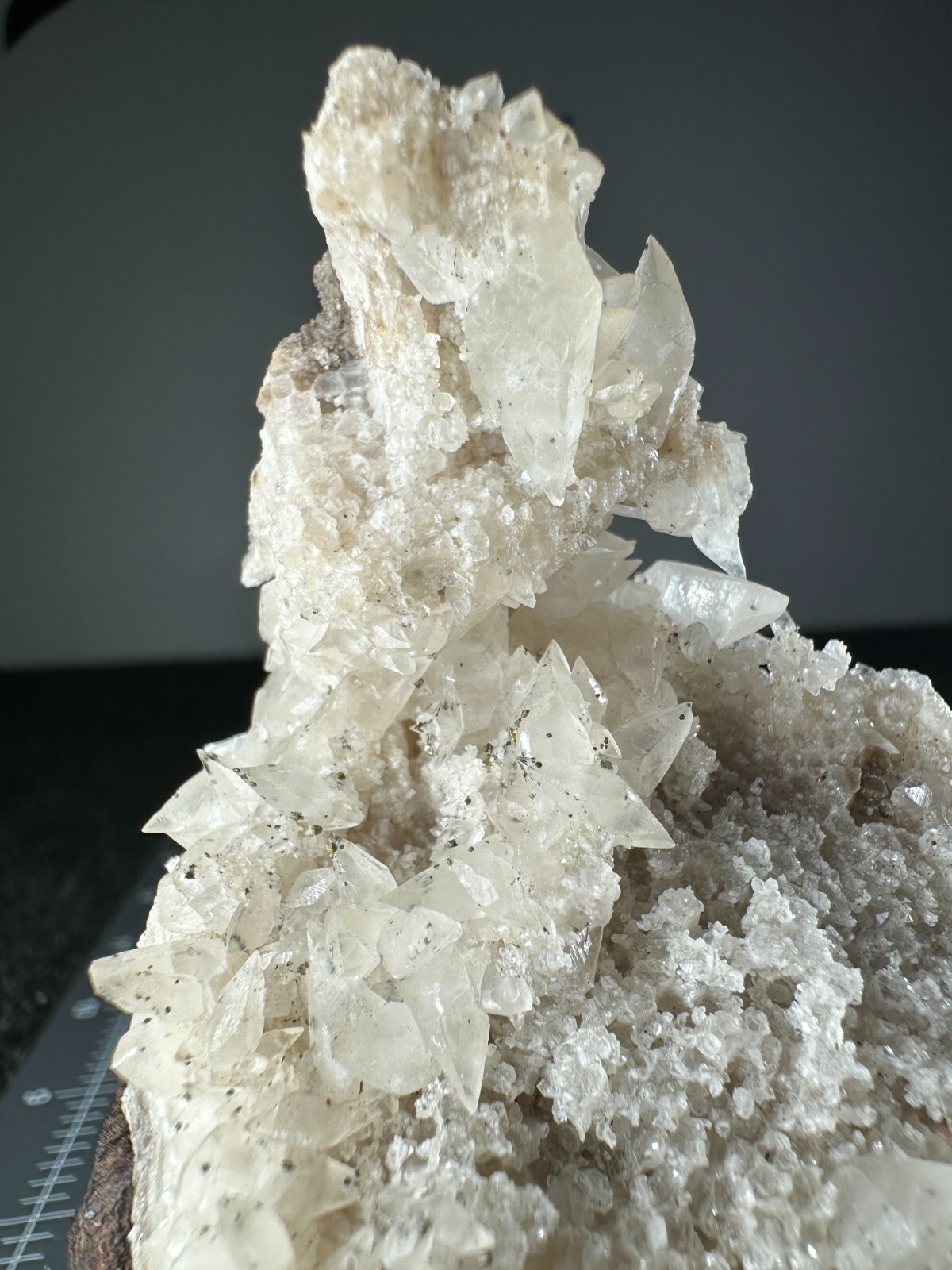➤4 Inch DOUBLE TERMINATED FOSSIL CORAL CALCITE CRYSTALS Pints Quarry VIDEO➤1073