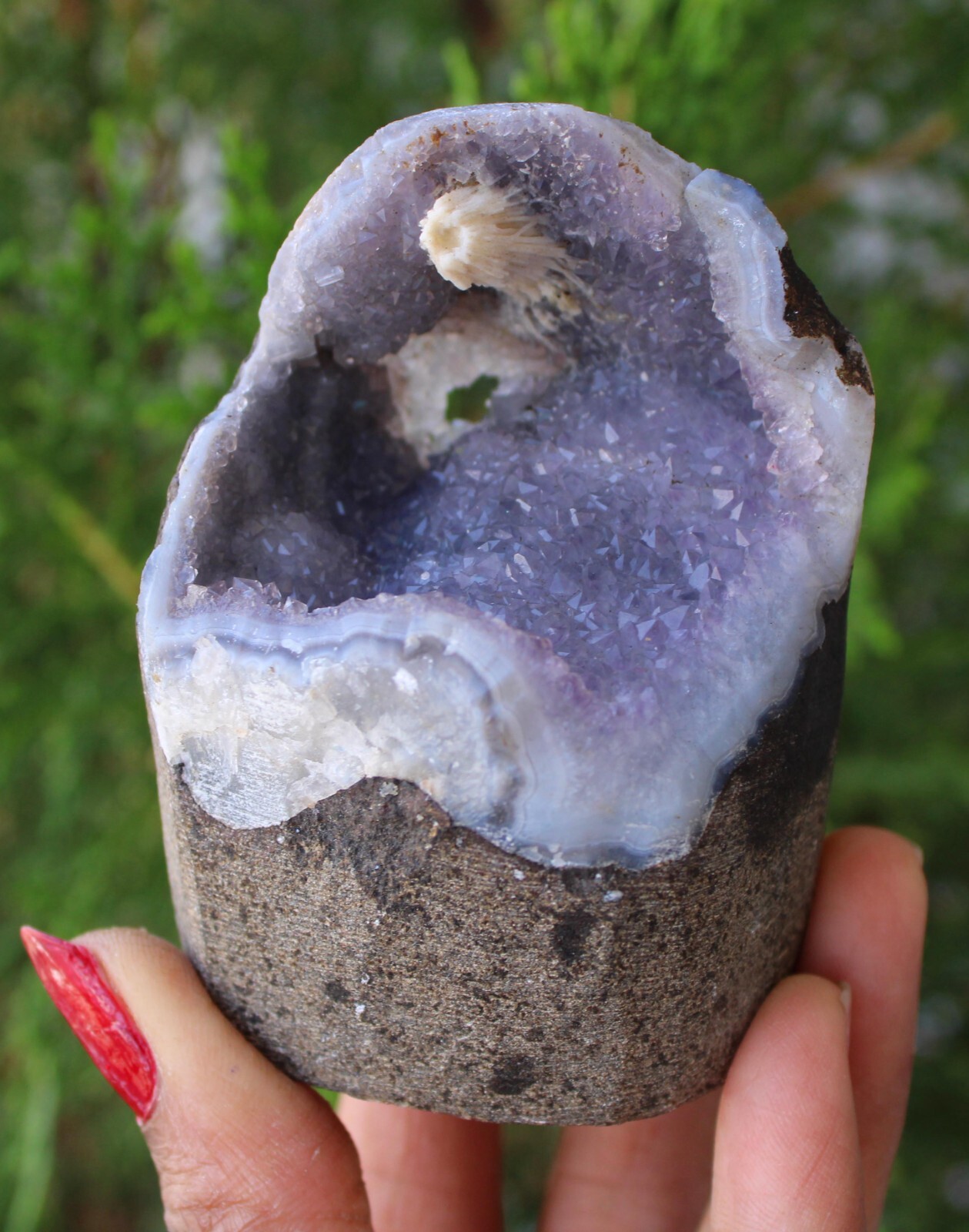 Amythst In Geode Natural Minerals Specimen #M55