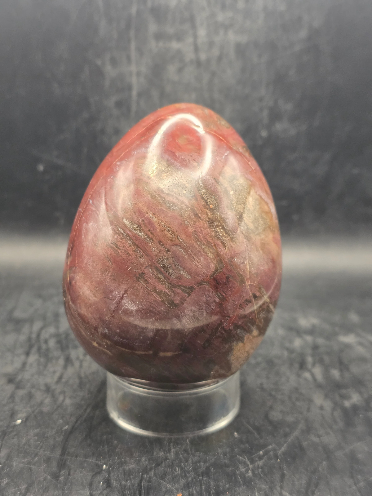 Petrified wood egg! 1.4 pounds! 3.5 inches tall, 2.7″ wide