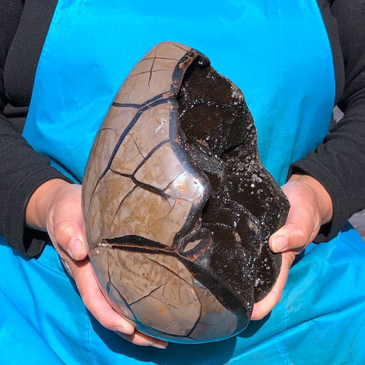 13.66LB Natural Turtle Back Stone Cave Shape Dragon Crystal Crack Gem Healing