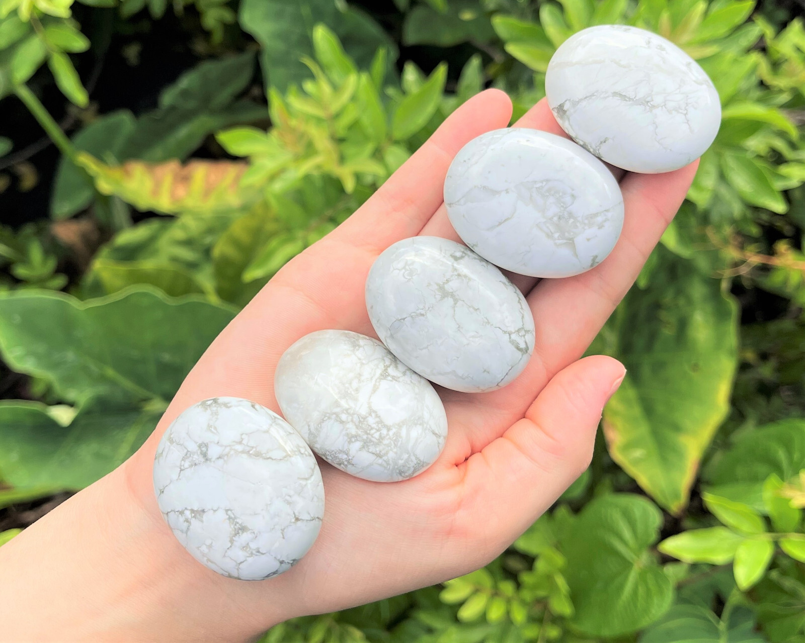 White Howlite palm Stone (White Howlite Pebbles, Hand Polished, ‘A’ Grade)