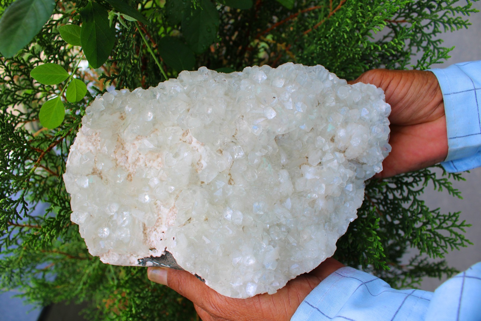 Light Green Apophyllite Crystals On Matrix Mineral Specimen