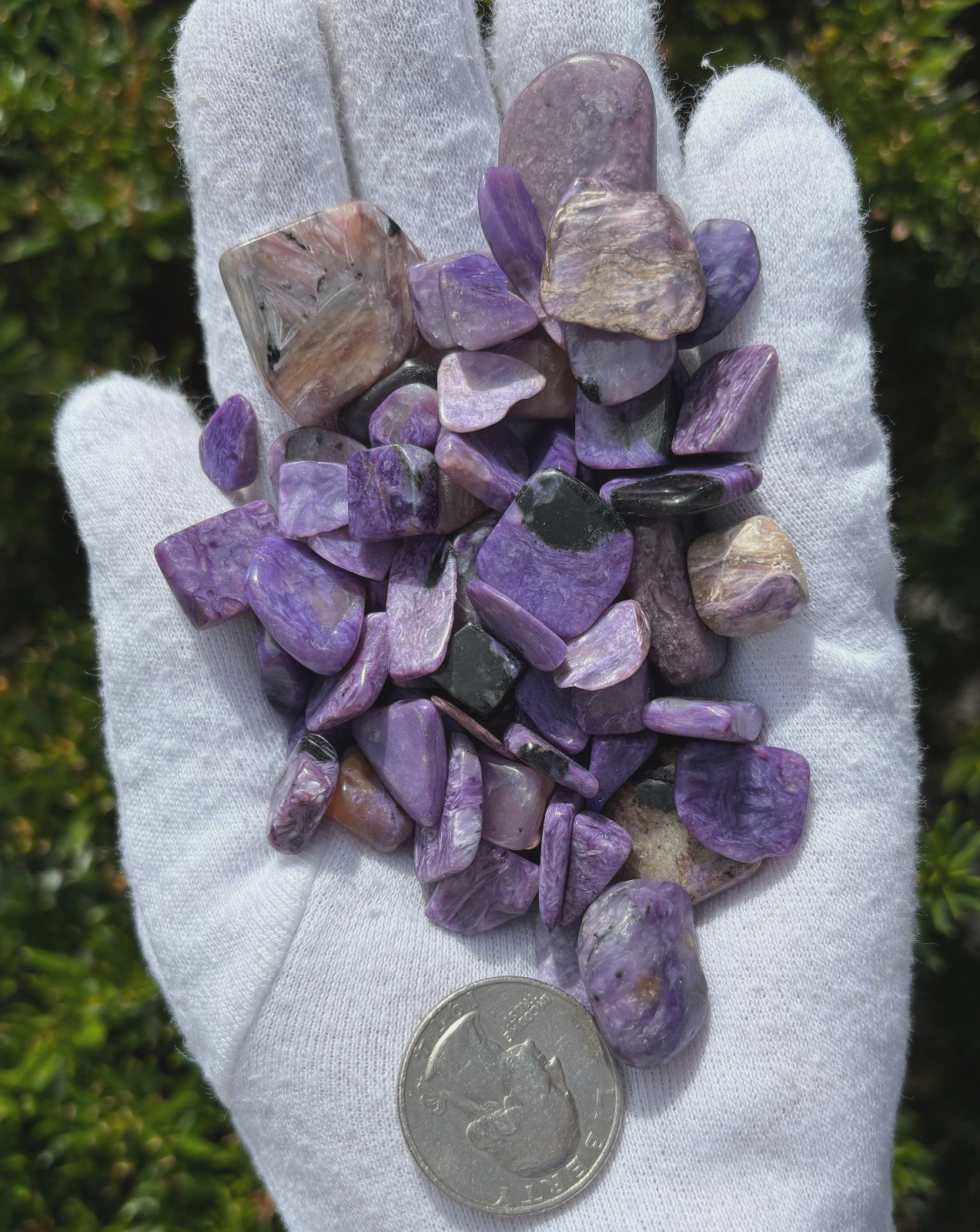 96g LOT CHAROITE CHIPS REAL AUTHENTIC MIXED SIZES: SMALL XS TINY