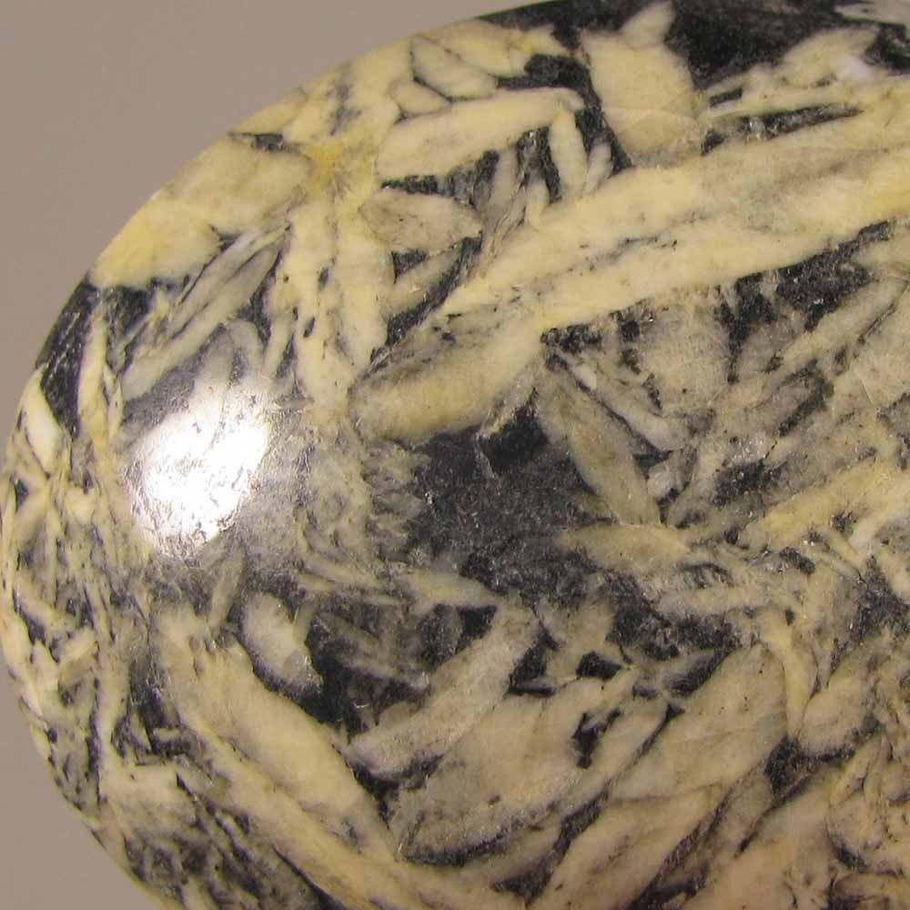 2″ PINOLITE Pinolith Polished Palm Stone – British Columbia, Canada