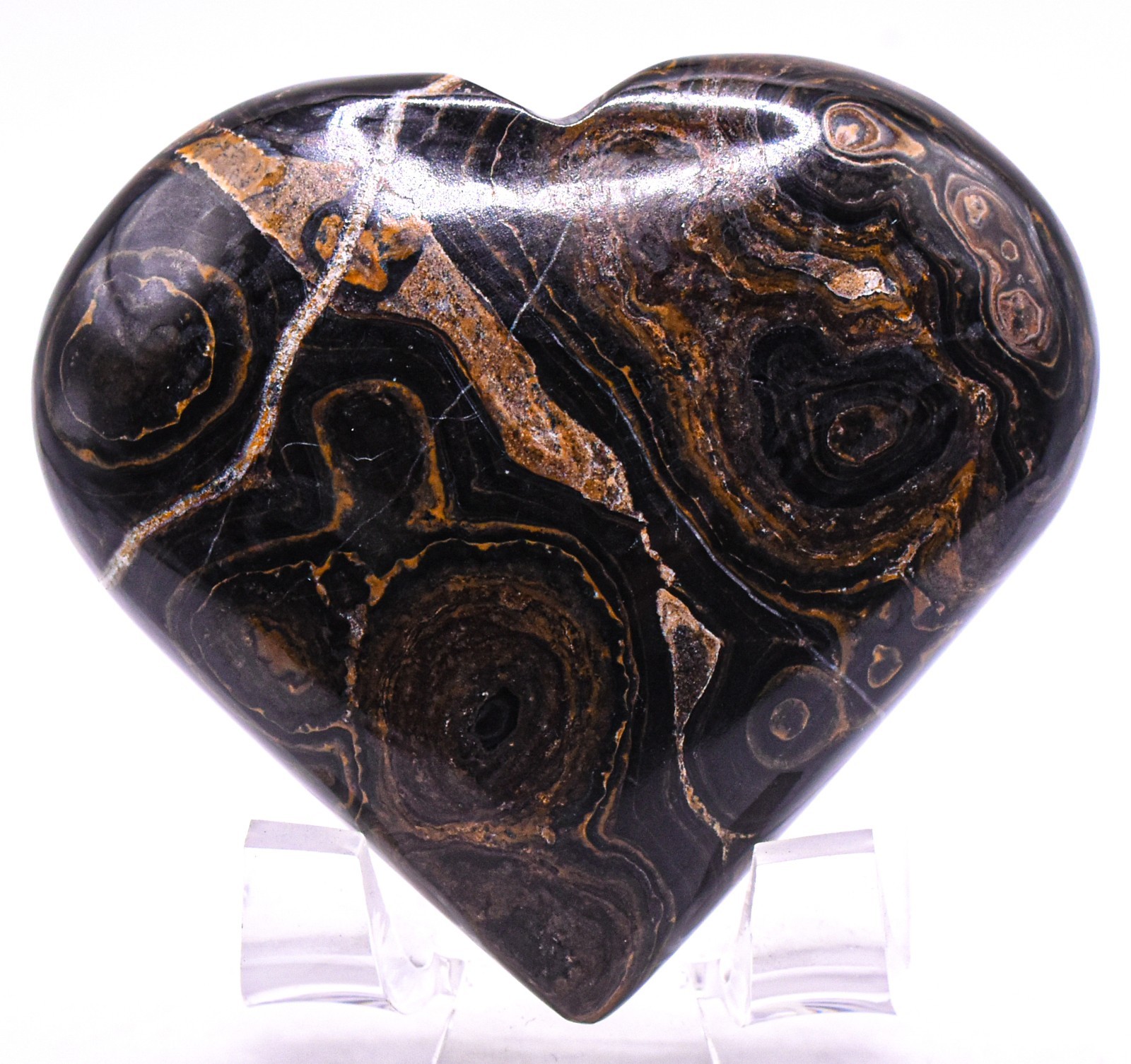 2.6″ Stromatolite Heart Black Brown Algae Fossil Natural Gemstone Mineral – Peru