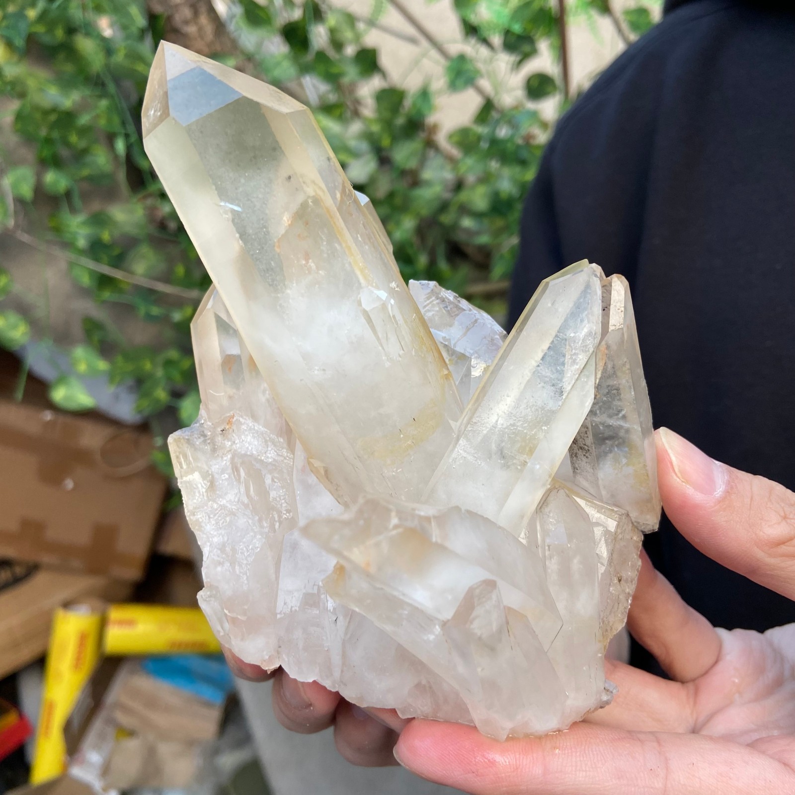 1.5lb Natural Clear White Quartz Crystal Cluster Rough Healing Specimen