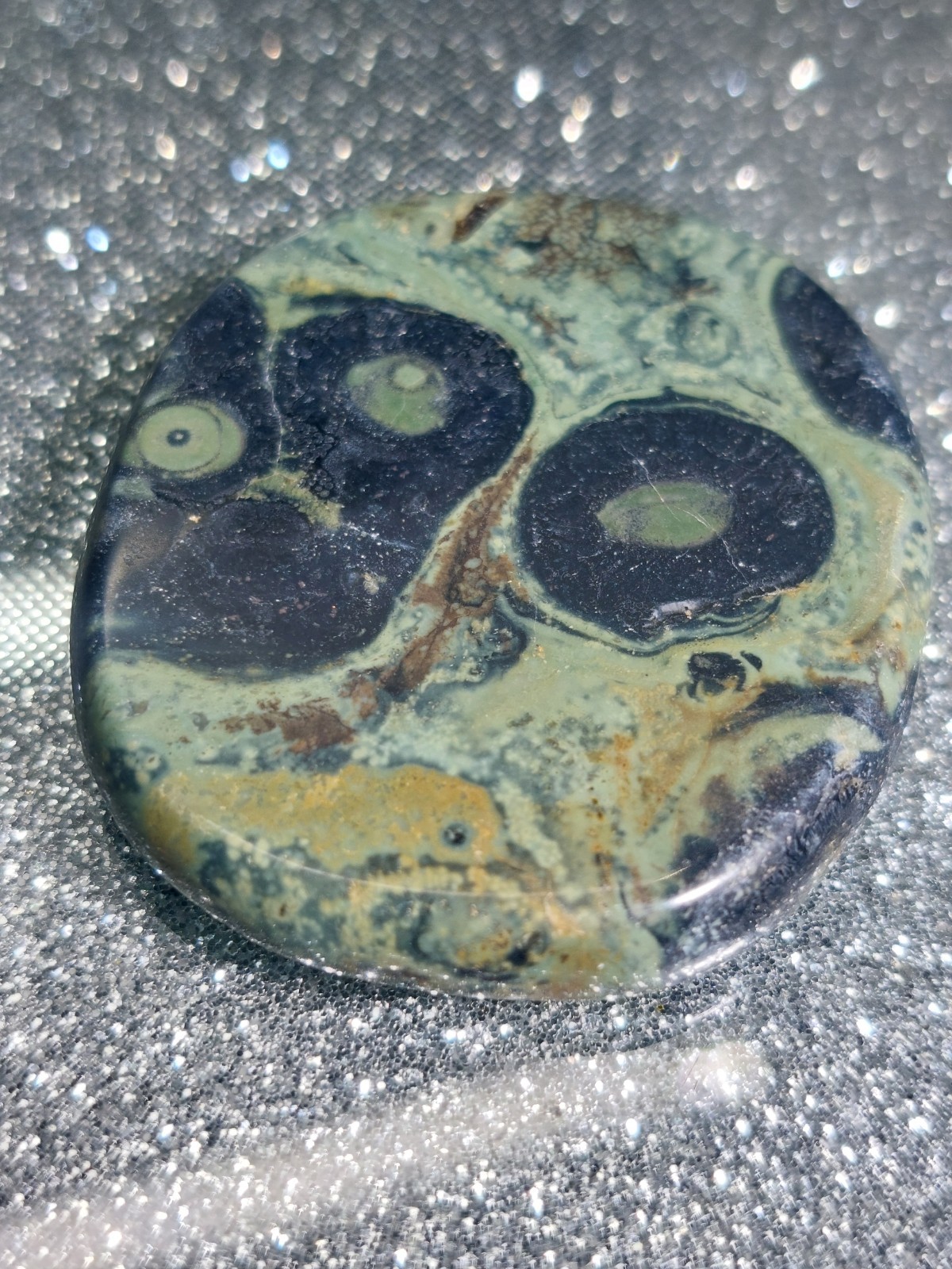 Kambaba Jasper Crystal Polished Slice Palm Stone Healing Energy 18.6g 3.5cm