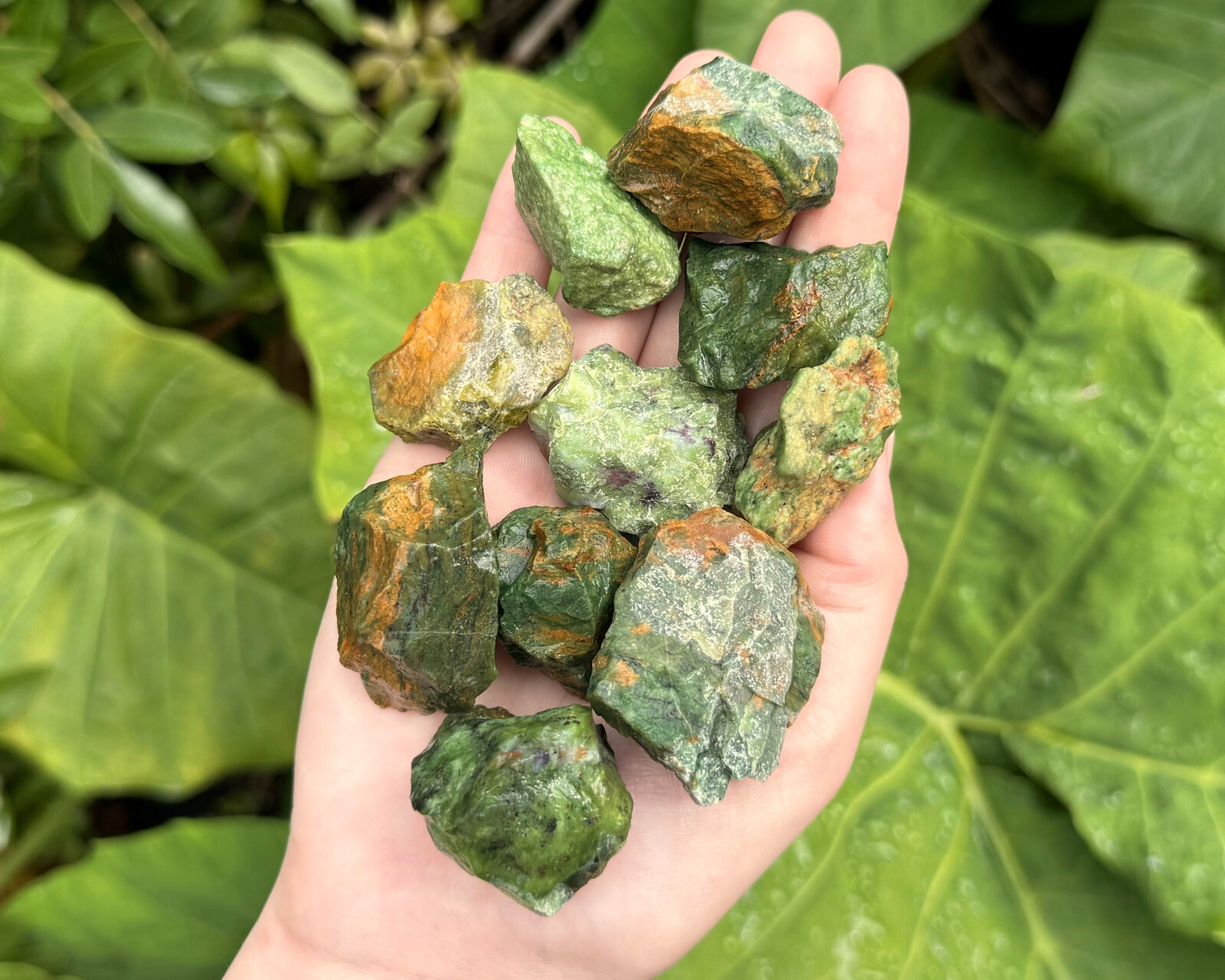 1/2 lb Bulk Lot of Natural Rough Chrysoprase Crystals (Raw Rock Mineral, 8 oz)