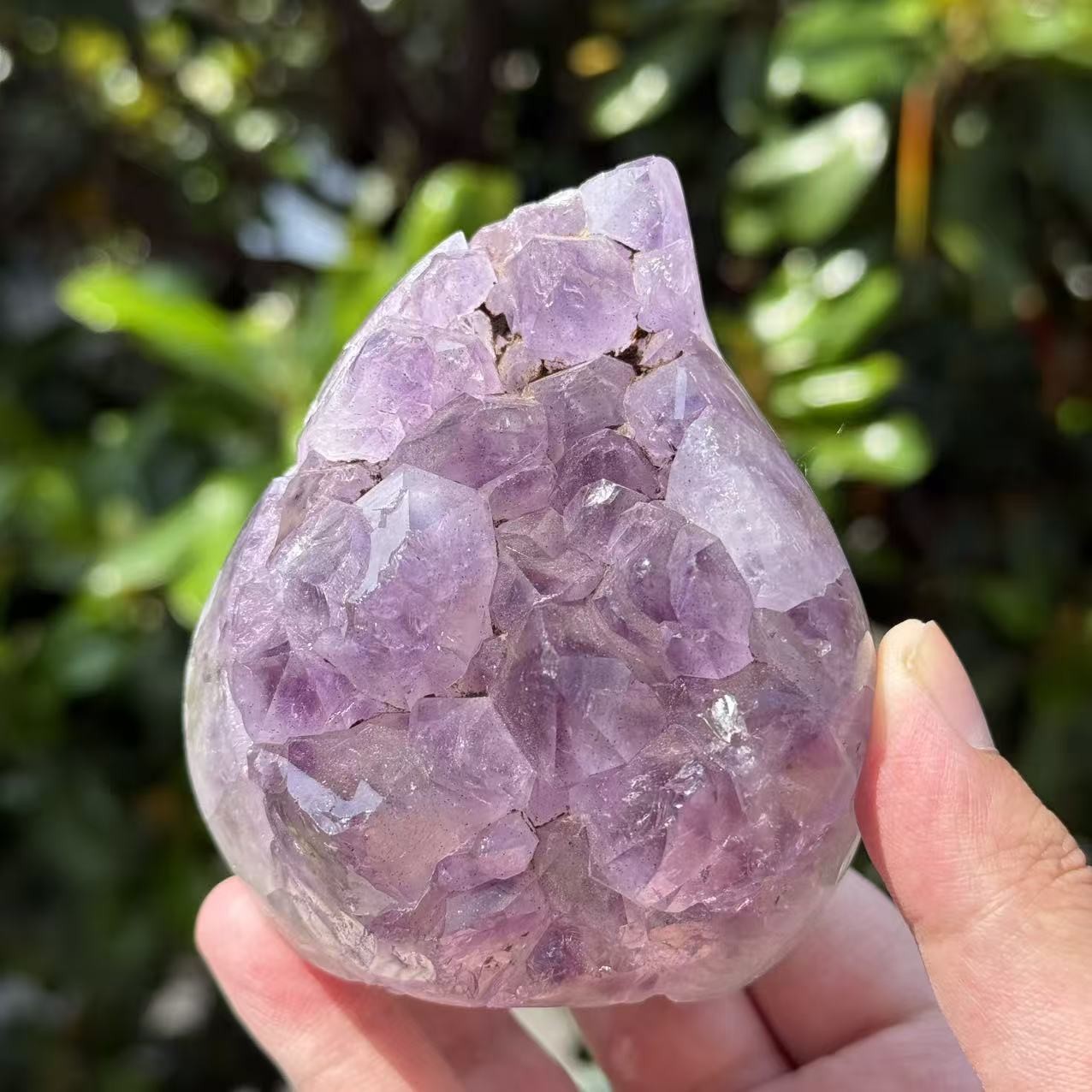1.2LB 3.5″ Natural Amethyst Teeth Free Form Crystal Druzy Carving Home Decor