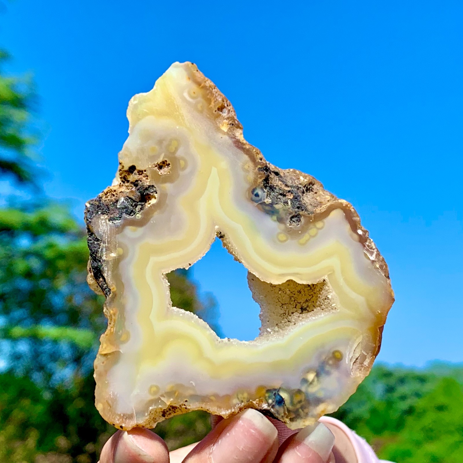 94G AAA Grade Natural Beautiful Yellow Agate Geode Druzy Slice Extra Large Gem