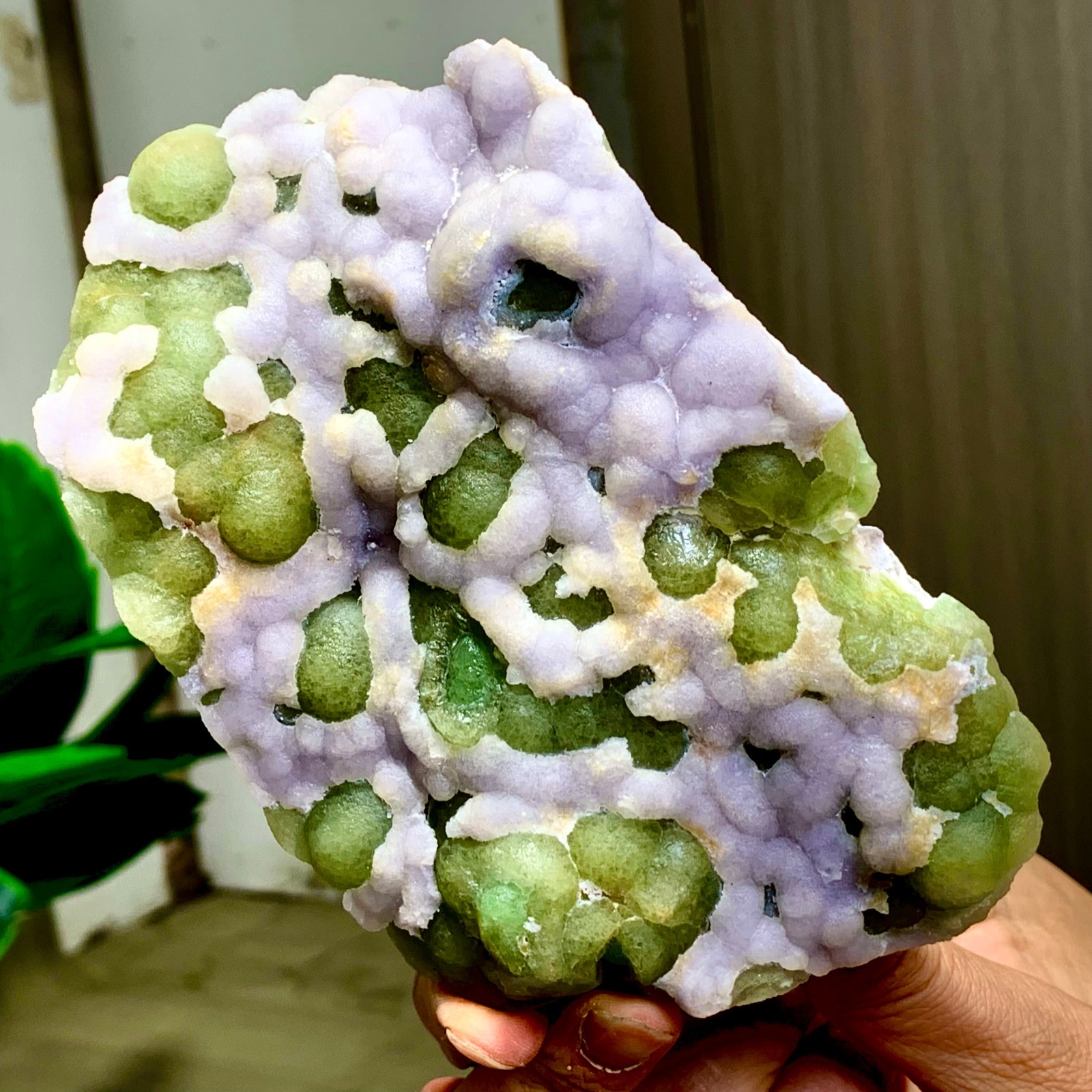 1.79LB Natural Fluorite Green-white dual color crystal mineral Specimen,Zhejiang