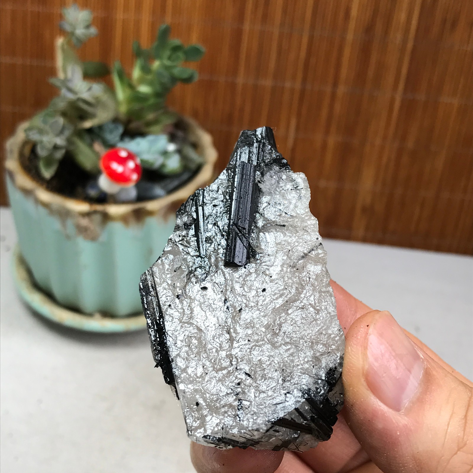 50g Natural Beautiful Black tourmaline Quartz specimen Crystal Healing A6300