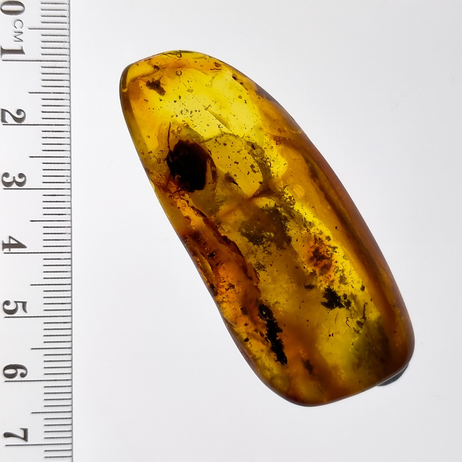 Baltic Amber polished gemstone w/ fossil leaf and insect inclusions 68.4ct