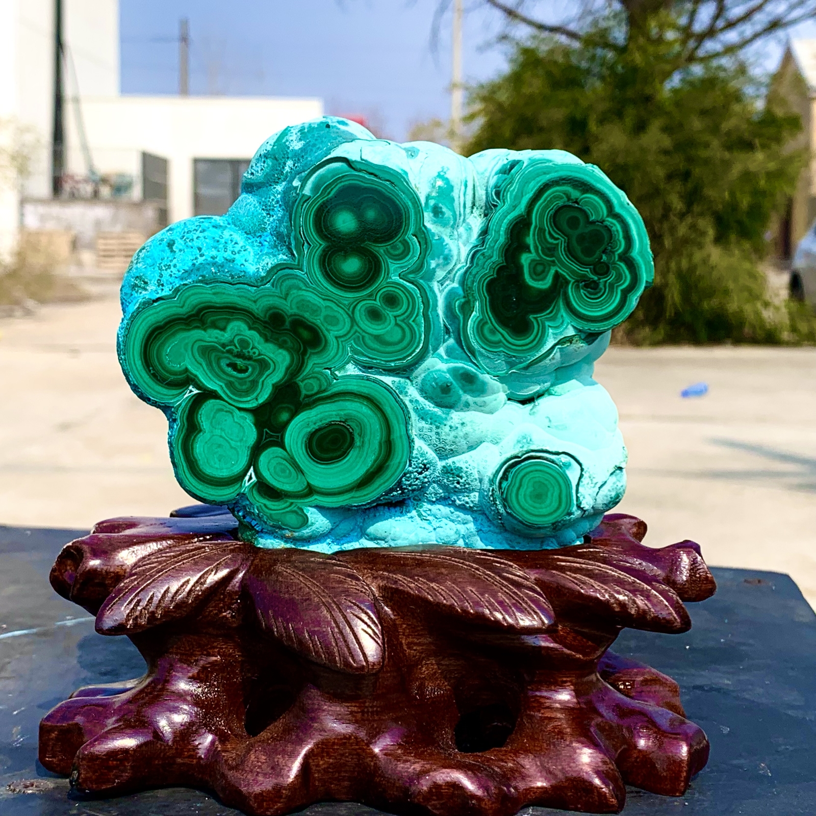 1.92LB Natural Chrysocolla/Malachite transparent cluster rough mineral sample