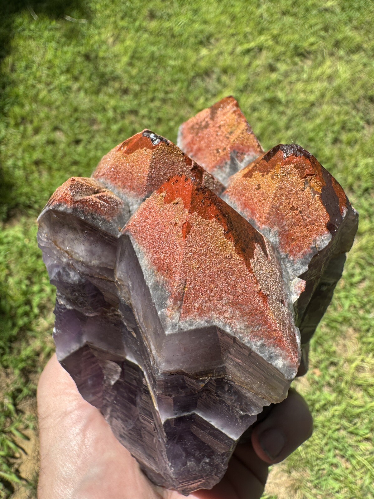 AURALITE 23 Red Cap Boreal Chevron Purple Amethyst Quartz Crystal Cluster