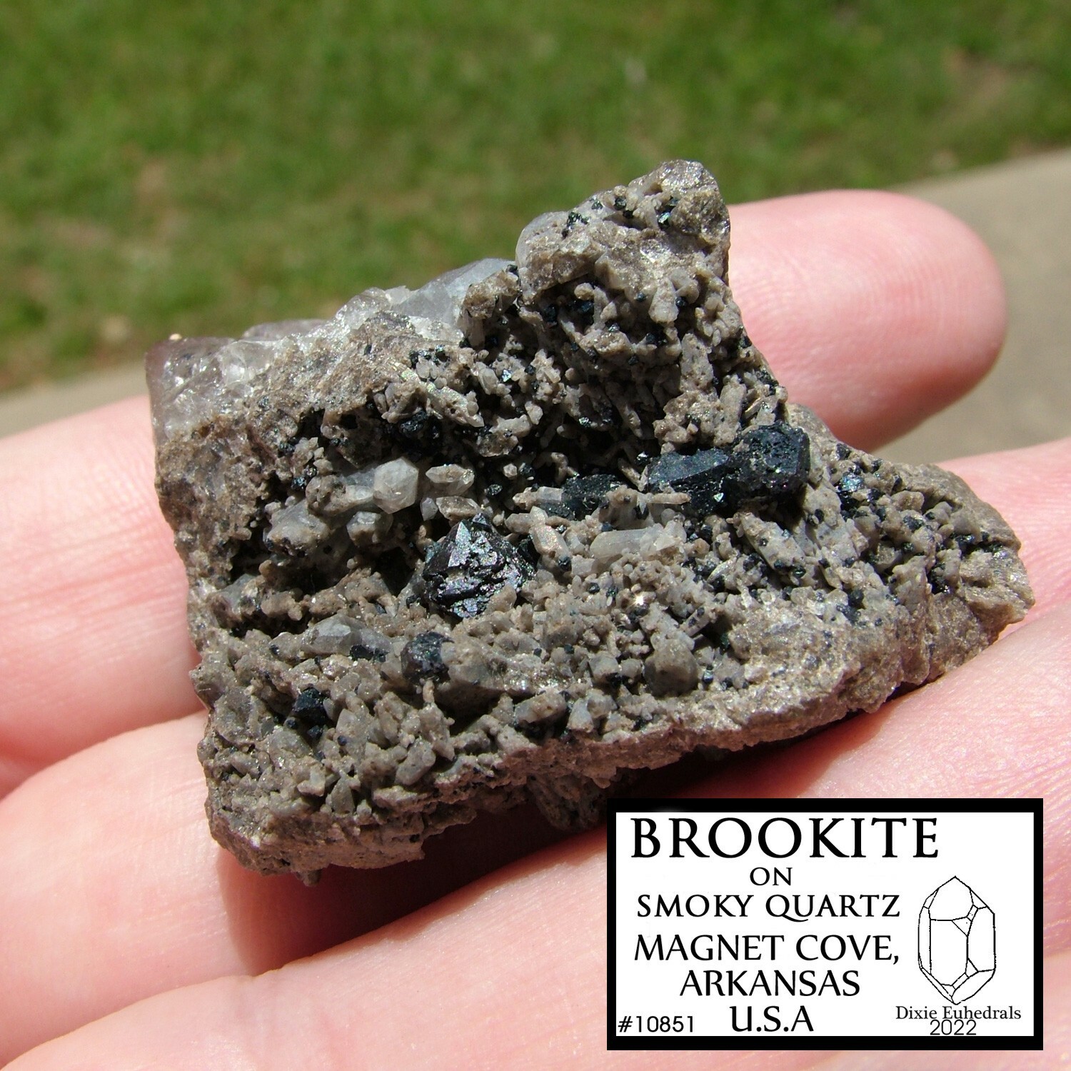 MAGNET COVE BROOKITE CRYSTALS ON SMOKY QUARTZ CRYSTAL MATRIX ARKANSAS OLD STOCK