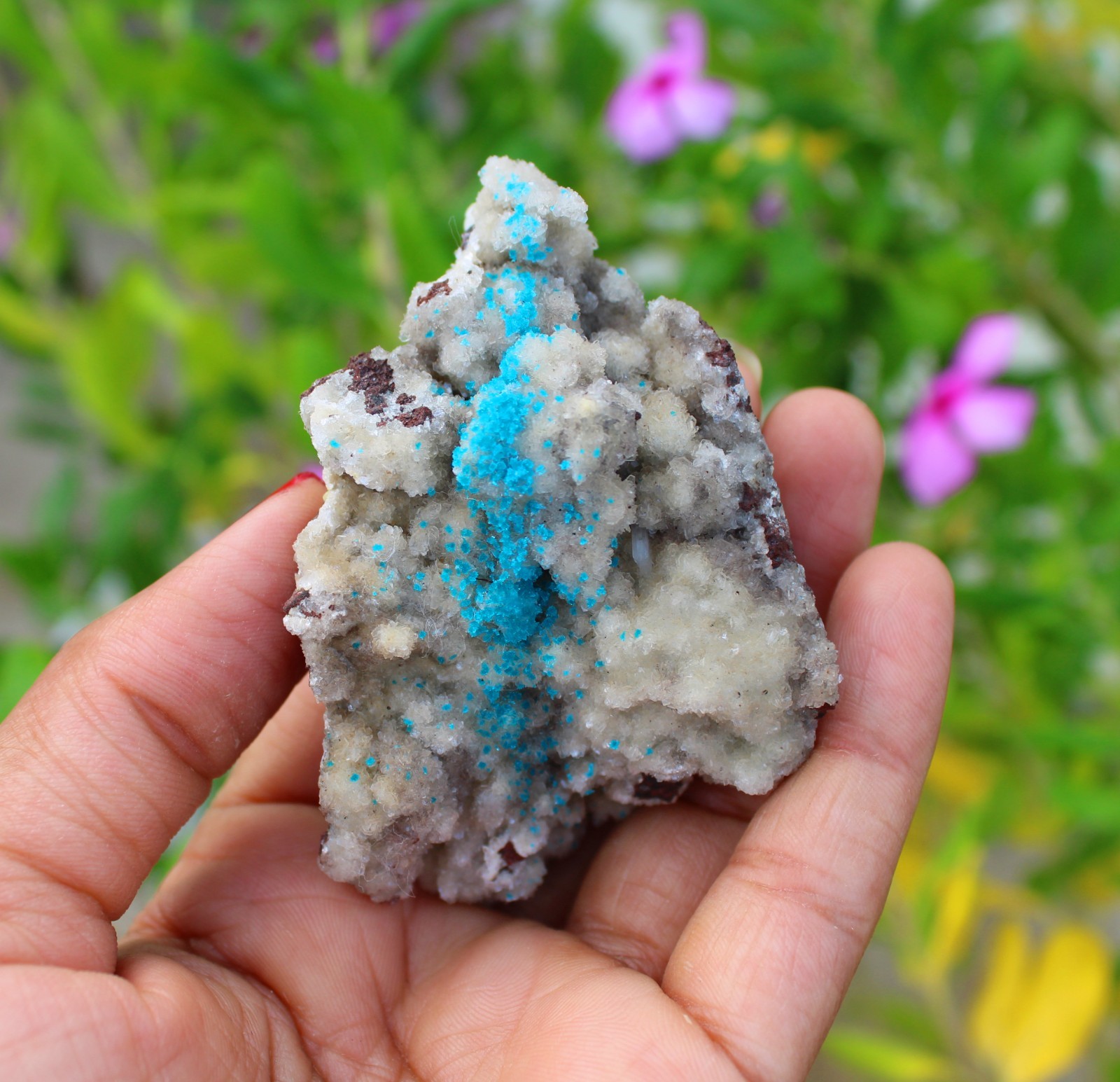 CAVANSITE TINY CRYSTALS FORMAT ON MATRIX MINERALS SPECIMEN