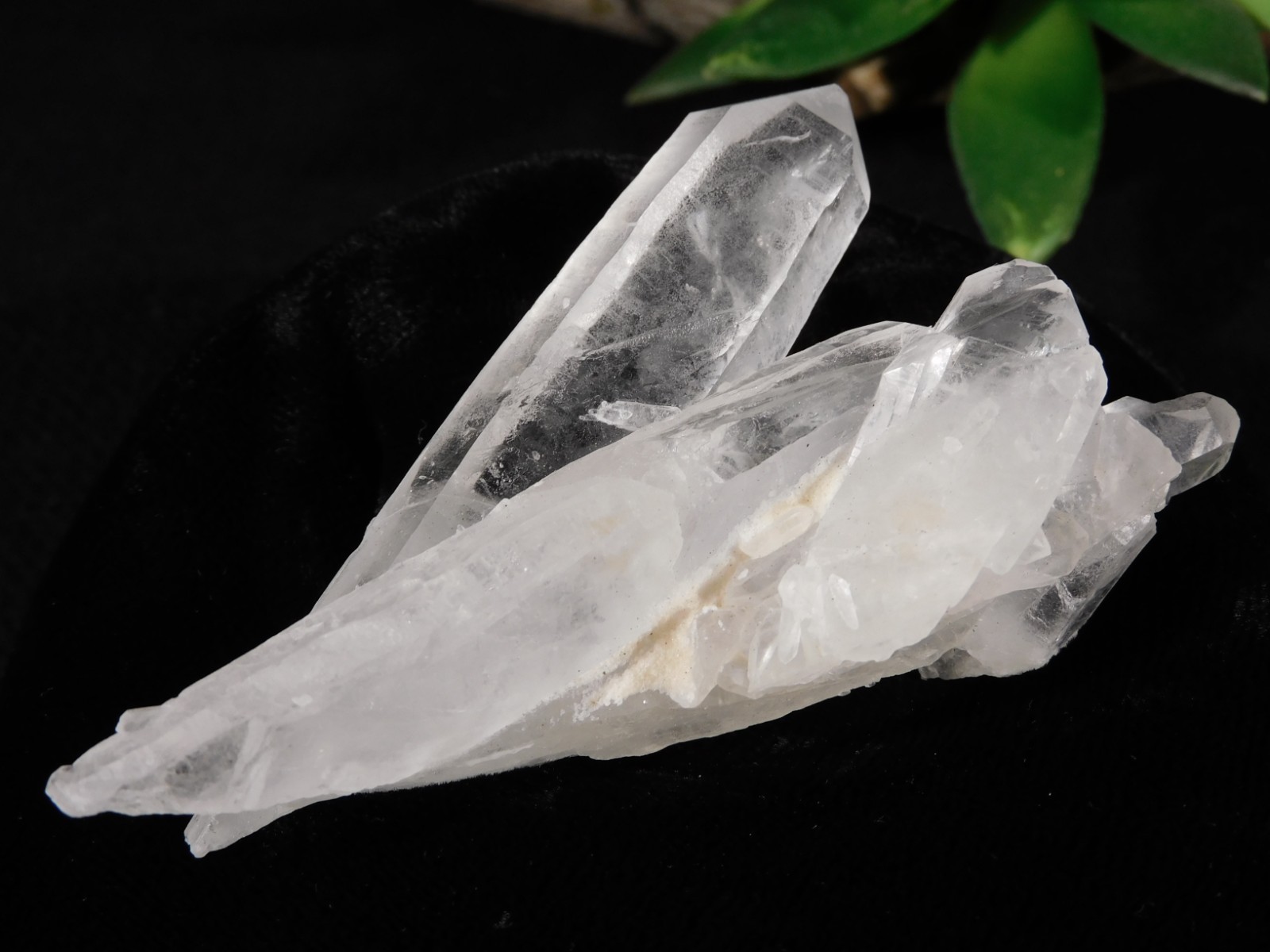 Four Points! Translucent! QUARTZ Crystal Cluster 100% Natural Brazil 70.1gr
