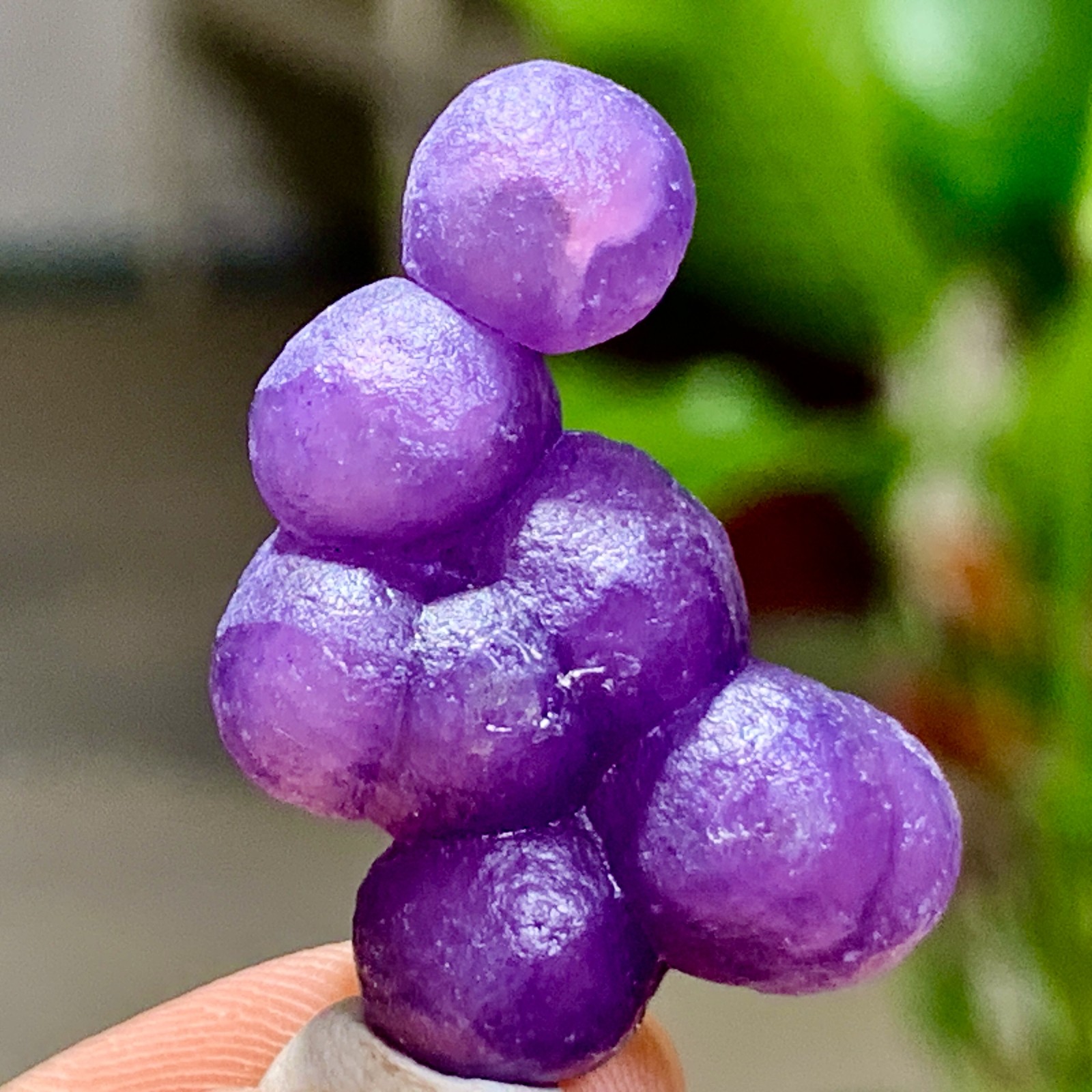 5G Natural purple grape agate quartz crystal granular mineral specimen