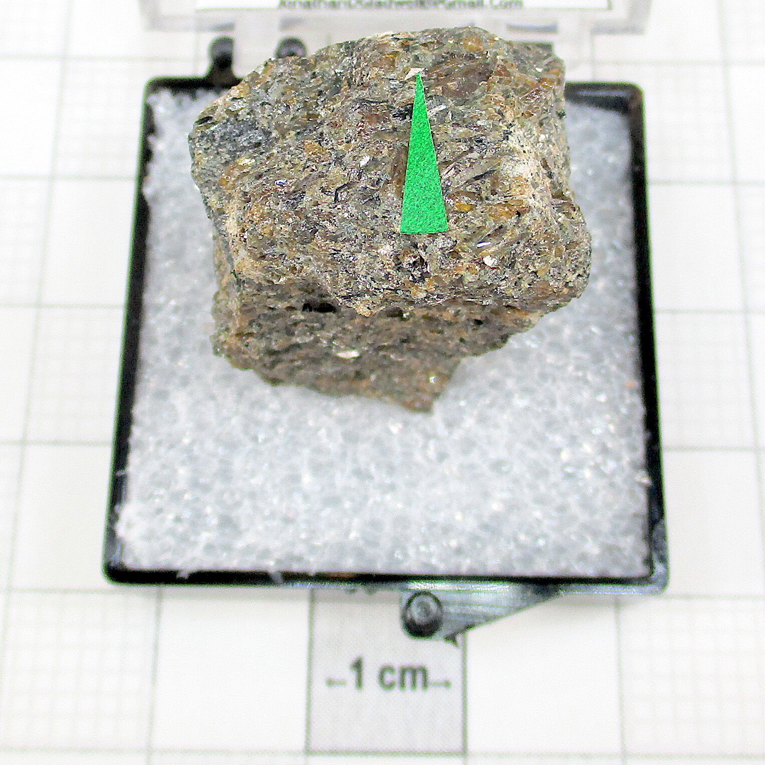 04923 TN Titanite (Sphene) Kirovskii Apatite Mine Khibiny Russian Federation 268