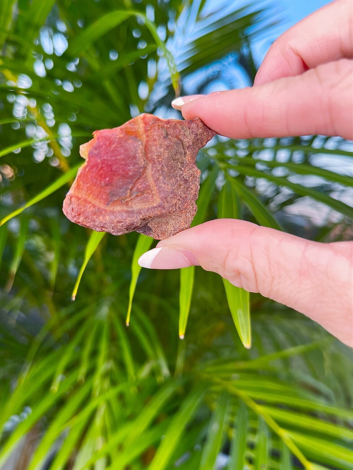 5 PCS Natural Raw Carnelian Stone Rough Red Agate Gemstone Mineral Specimen