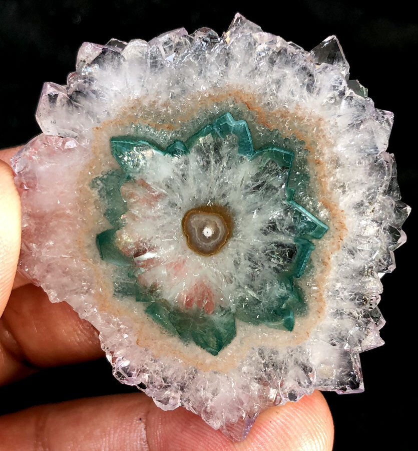146CT WOW! Boutique Natural Trapiche Star Green Amethyst Flower Specimen ip1388