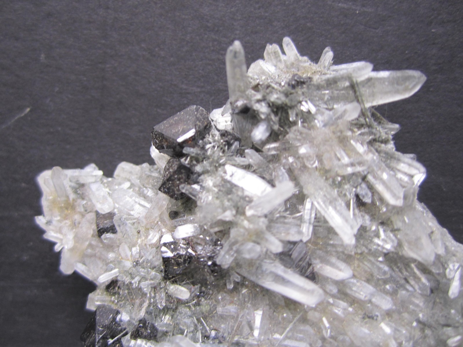 Cassiterite on Quartz, Viloco Mine, Bolivia #8