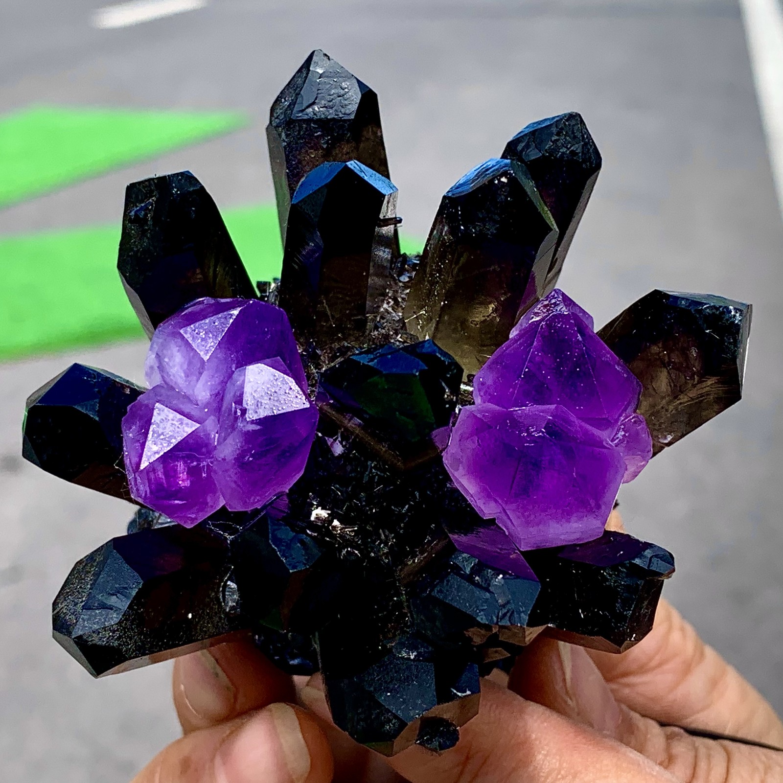 268G New Find black+purple Phantom Quartz Crystal Cluster Mineral Specimen
