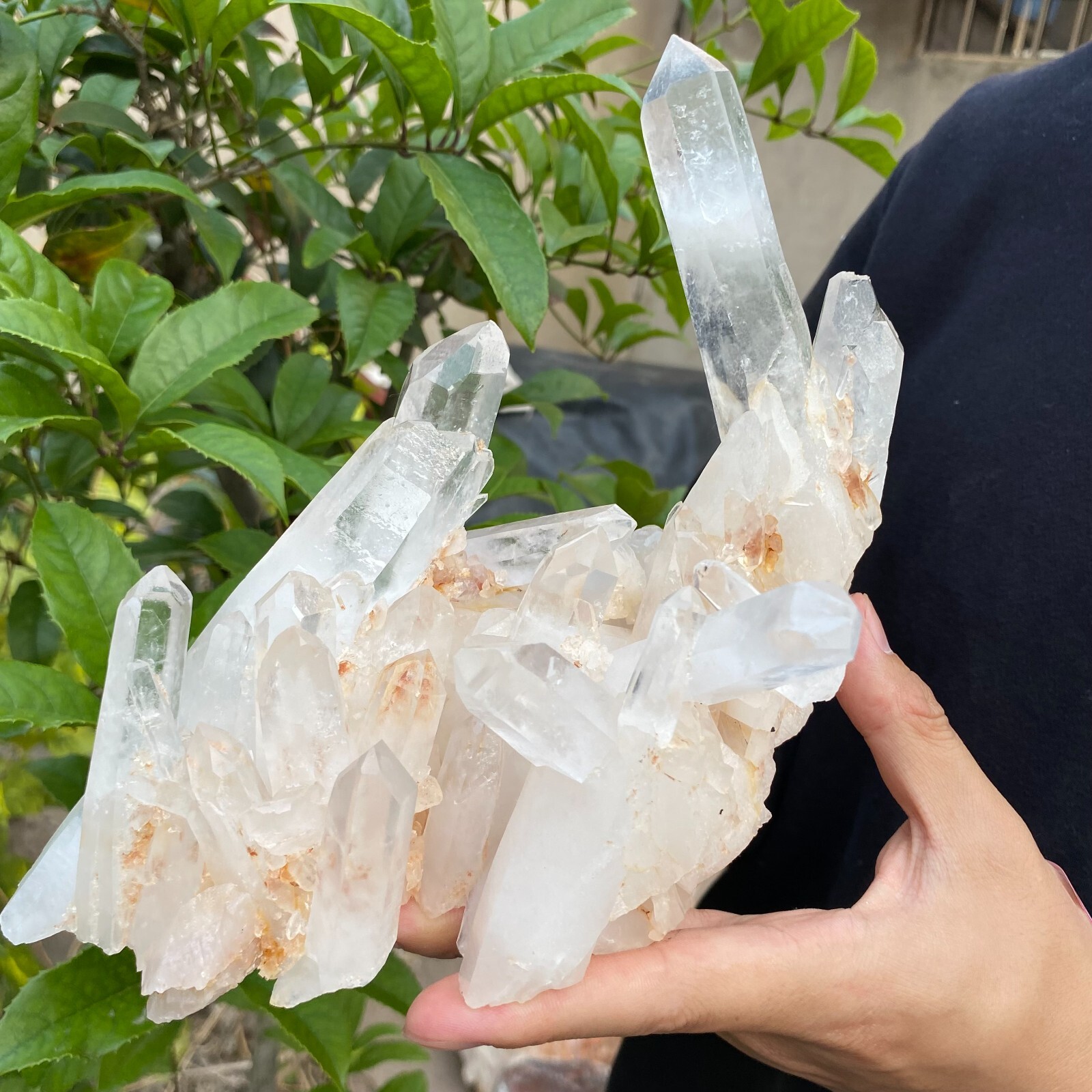 3.1lb Natural Clear White quart Crystal Cluster Raw Healing Specimen