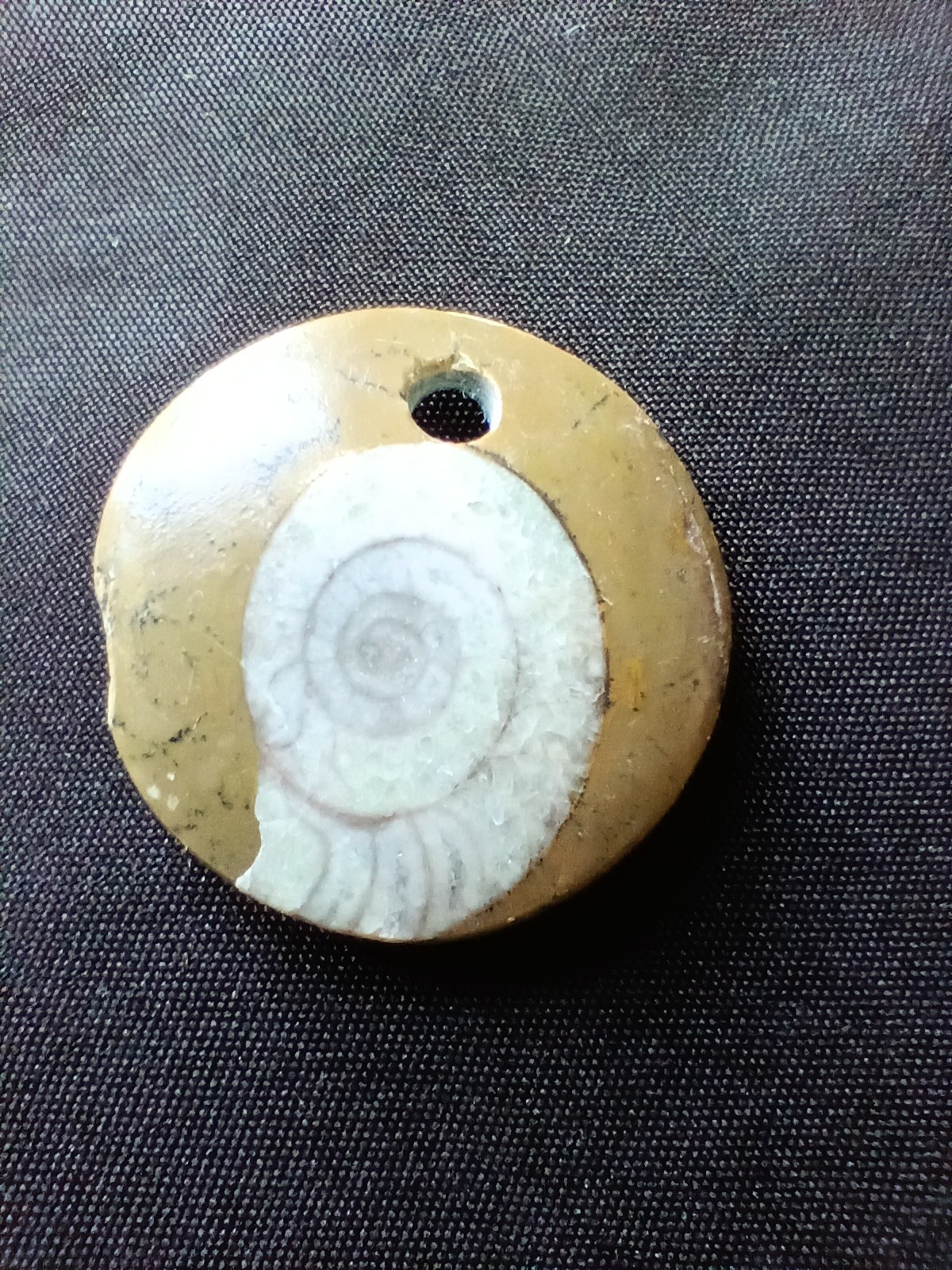 LOT OF 10 POLISHED Ammonite Fossil Conch Crystal Specimens GONIATITE PENDANTS +