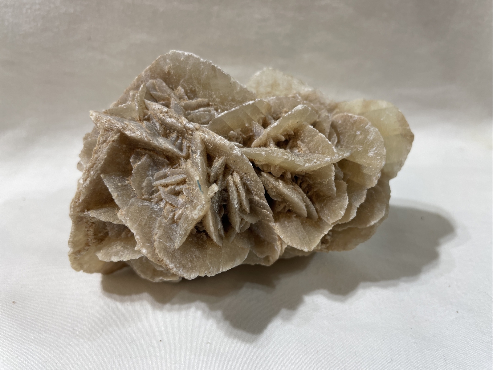 Selenite Desert Rose Crystal Cluster 9 oz. 3 1/2 Inches