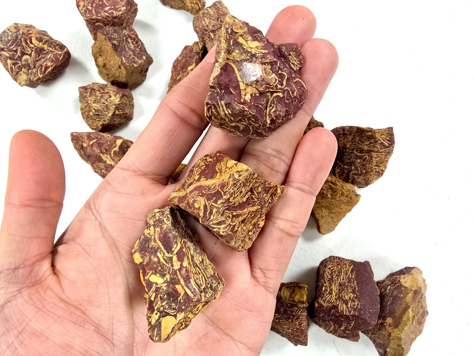 Calligraphy Stone AKA Sea Fossil Jasper Raw Rough Tumbling Crystals Bulk Lot
