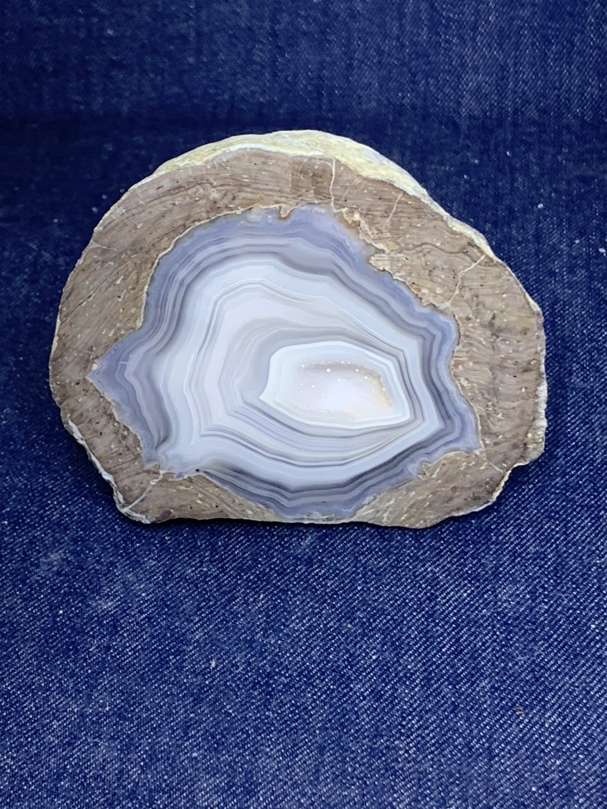 Thunder Egg Display Half ( Oregon )