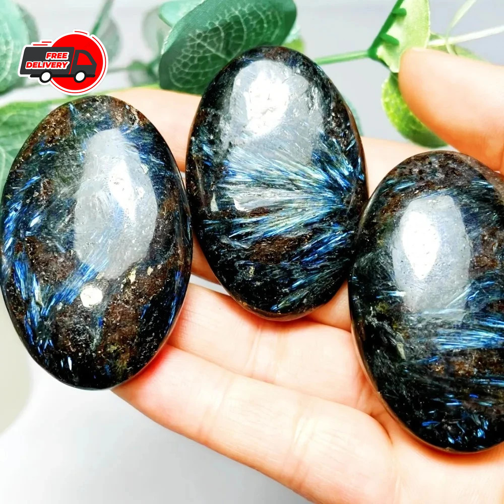Natural Arfvedsonite Palmstone Worry Stone Healing Crystal Meditation Reiki Gift