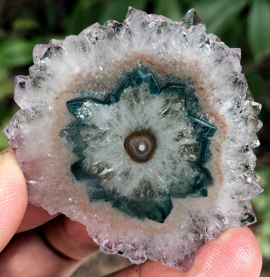 146CT WOW! Boutique Natural Trapiche Star Green Amethyst Flower Specimen ip1388
