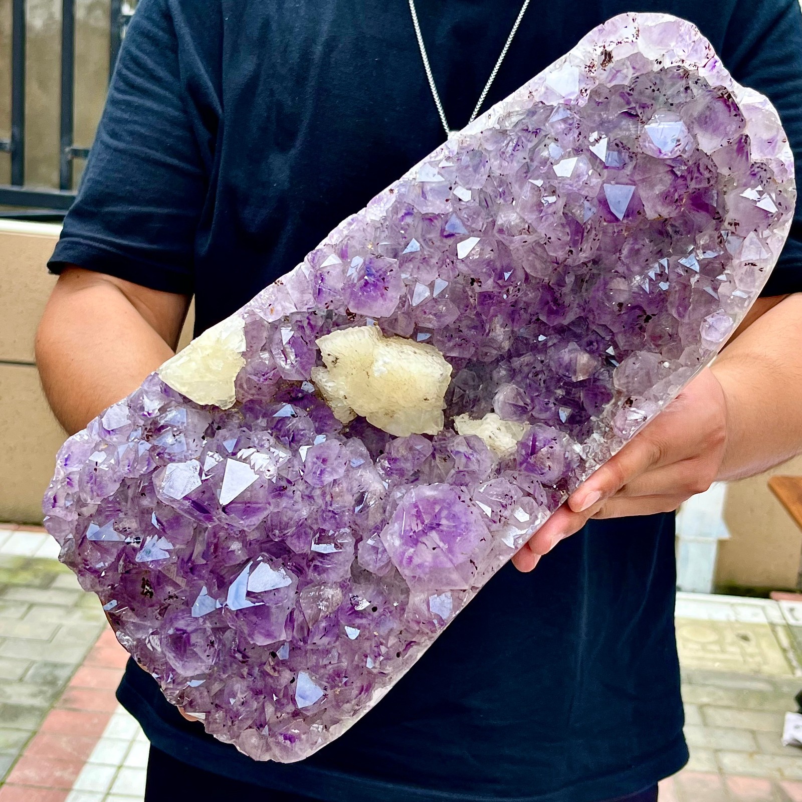 19.95LB Natural Brazilian high-grade amethyst thin skin large teeth