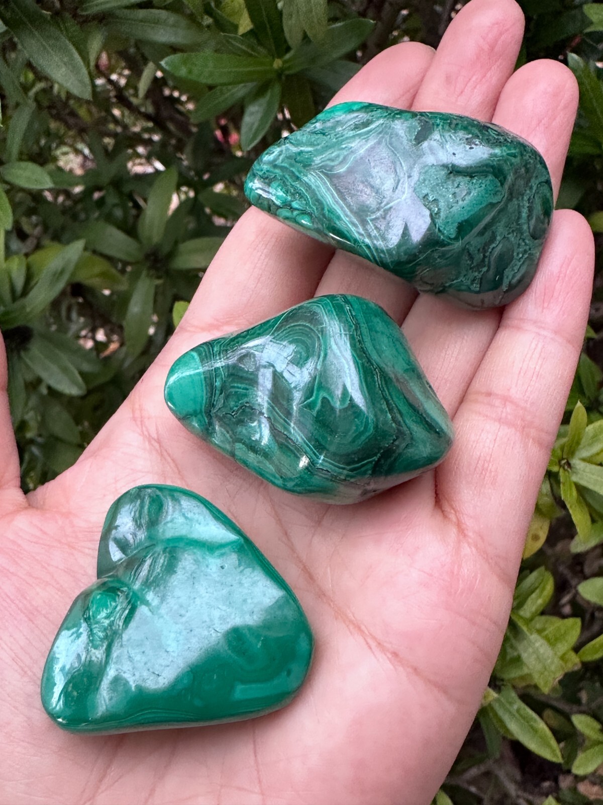 Grade A++ Malachite Pebble, 1.25-1.75 Inch Large Tumbled Malachite Stones