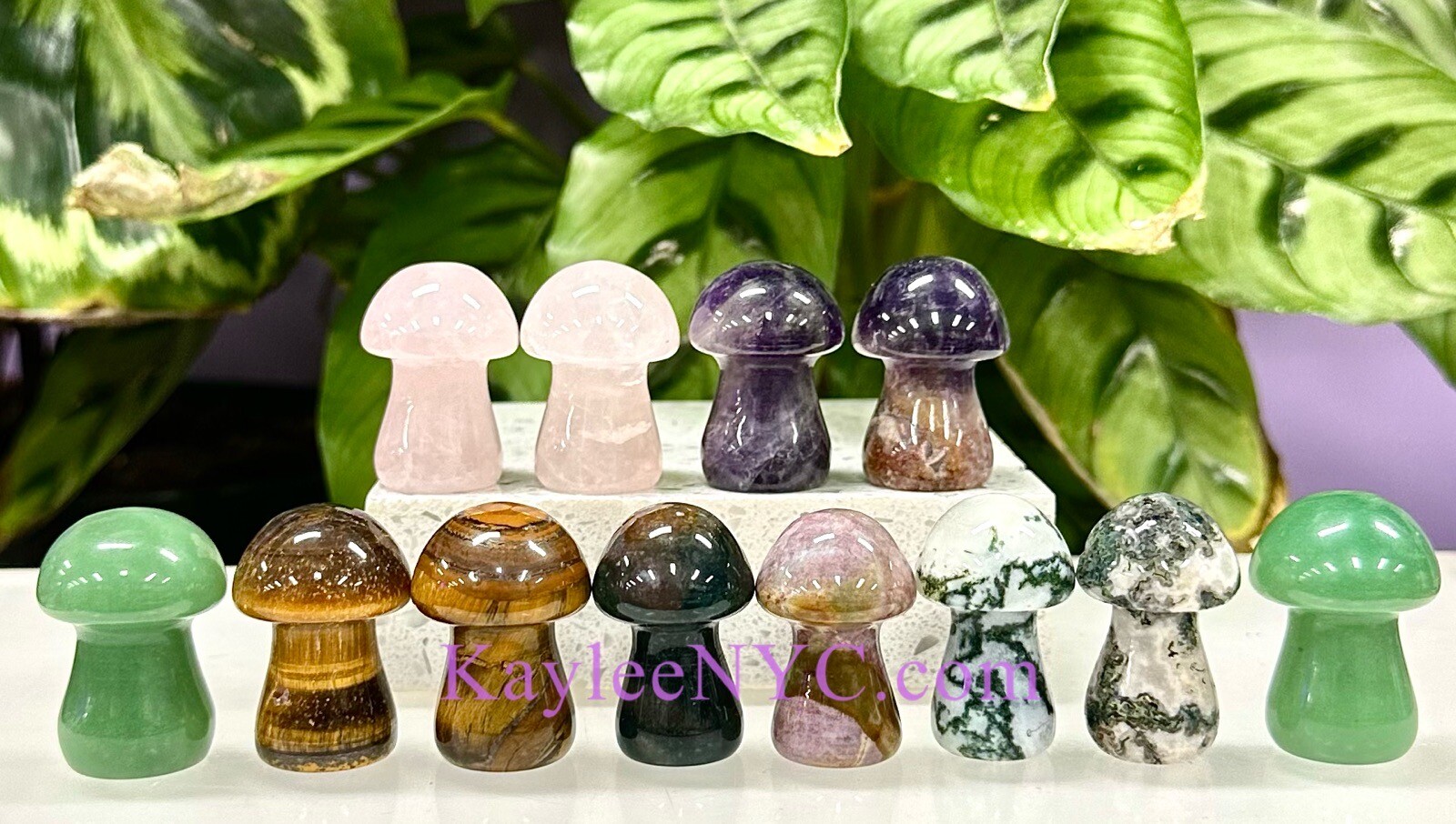 Wholesale Lot 12 PCs 3.5cm Natural Mix Crystal Mushroom 🍄 Healing Energy