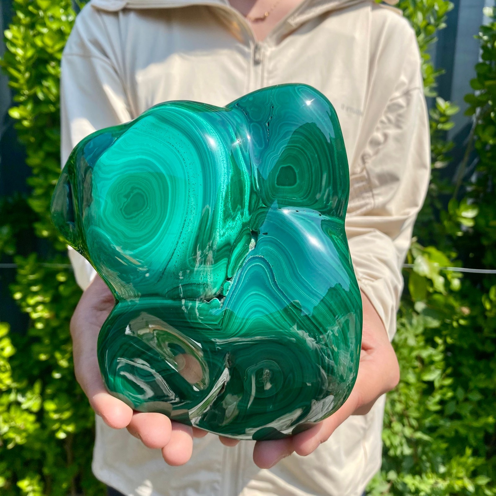 5.29LB Natural glossy Malachite transparent cluster rough mineral sample