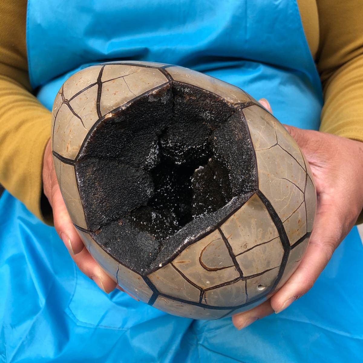 3290G Natural Turtle Back Stone Dragon Crystal Cave Crack Gem Healing 4351