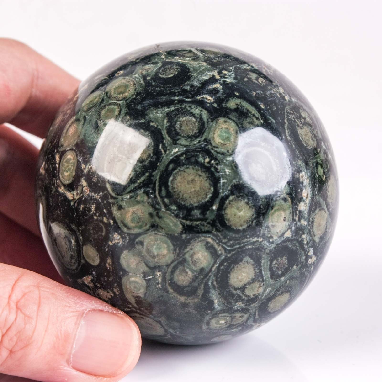 2.7″ 15.77oz Kambaba Jasper Sphere Crocodile Jasper Natural Crystal Ball Orb