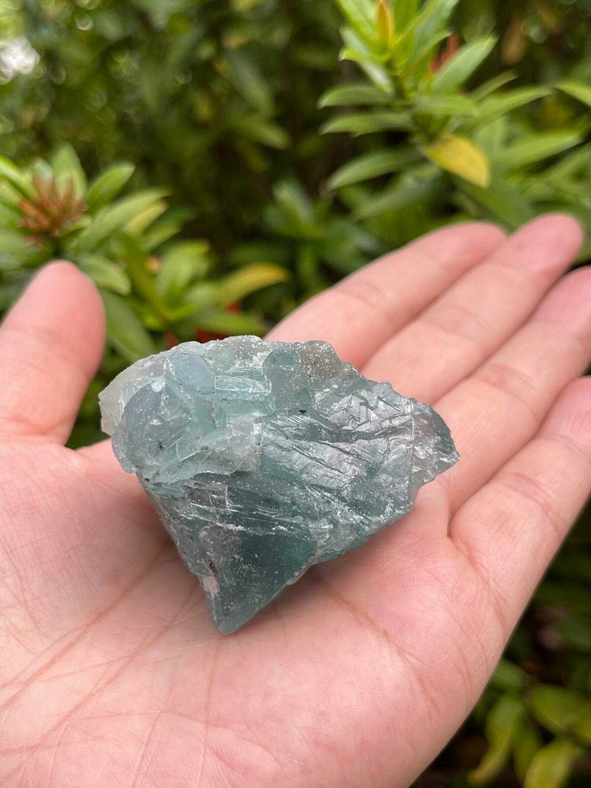 Large Green Fluorite Raw Natural Stone 2 – 2.5 inches, Wholesale Bulk Lot